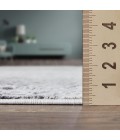 Loomaknoti Aysal Athna Gray/Cream EAY003 4 ft. X 6 ft. Rectangle Rug