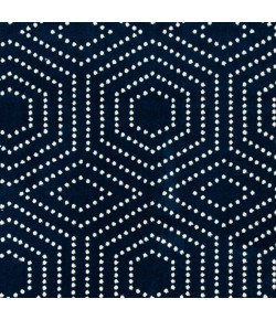 Loomaknoti Tecopa Kaharie Blue/White ETR21BWH85 9 ft. 10 in. X 12 ft. 10 in. Rectangle Rug