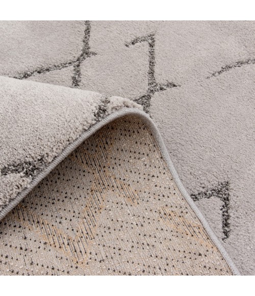 Central Oriental TYWD Relax 7131LE58-101 Area Rug