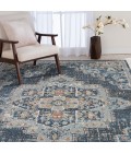 Ornate Fontazilor Area Rug By Central Oriental