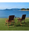 ARTIFICIAL TURF 6665 RUG Central Oriental Artificial Turf 6665 PRT066065-7-5X9 Area Rug