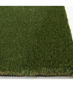 Central Oriental Dk Grn Fescue Area Rug 5 ft. X 7 ft. Rectangle