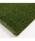 Central Oriental Artificial Turf 4356 PRT043056-5X7 Area Rug