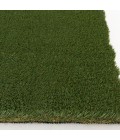 Central Oriental Artificial Turf 6665 PRT066065-7-5X9 Area Rug