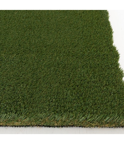 Central Oriental Artificial Turf 6665 PRT066065-7-5X9 Area Rug