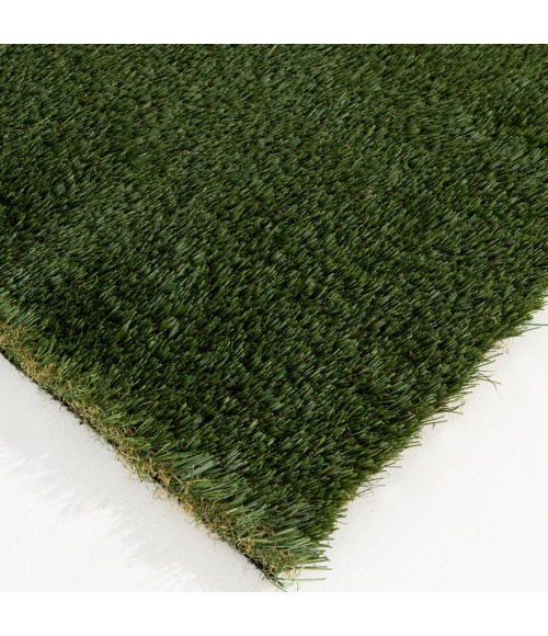 Central Oriental Artificial Turf 6665 PRT066065-7-5X9 Area Rug