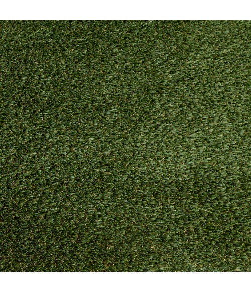 ARTIFICIAL TURF 6665 RUG Central Oriental Artificial Turf 6665 PRT066065-7-5X9 Area Rug