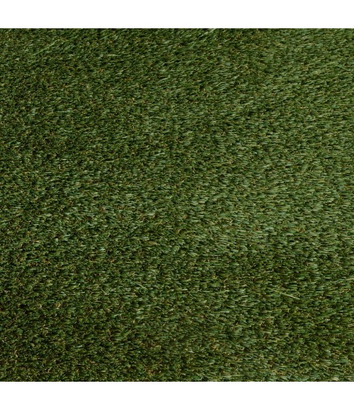 Central Oriental Artificial Turf 6665 PRT066065-7-5X9 Area Rug