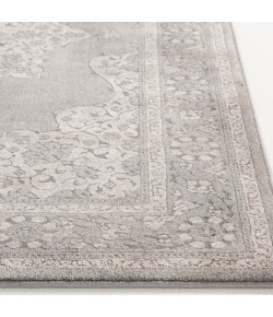 Central Oriental Clearwater Glint D/M Area Rug 7 ft. 10 X 10 ft. 10 Rectangle