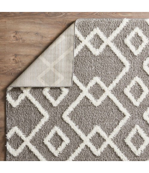 Loomaknoti Vemoa Adeta Gray/Cream EV001 2 ft.  X 6 ft. 7” Rectangle Rug