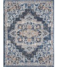 Ornate Fontazilor Area Rug By Central Oriental