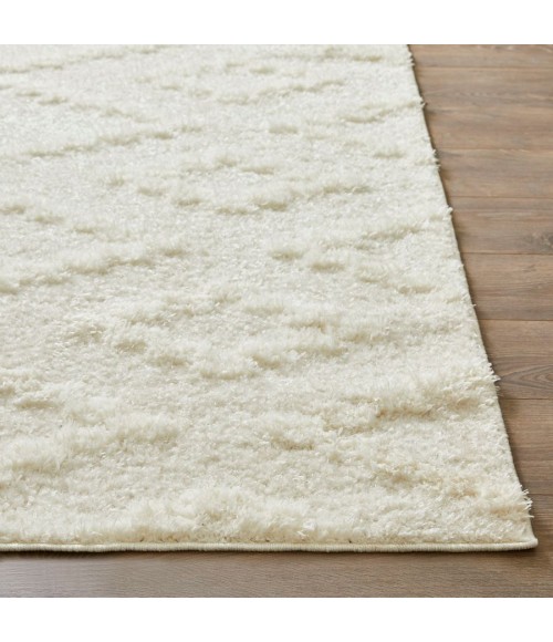 Loomaknoti Vemoa Aslayn 0 EV002 4 ft.  X 6 ft.  Rectangle Rug