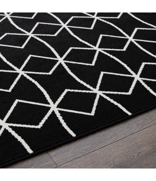 Loomaknoti Tecopa Tamariez Black/White ETR11BLW50 4 ft.  X 6 ft.  Rectangle Rug