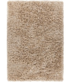 Chandra DIANO DIA-29502 9 ft. X 13 ft. Rect. Rug - Tan