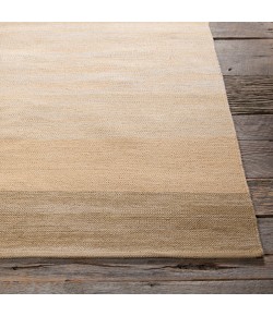 Chandra INDIA IND-4 2 ft. X 3 ft. Rect. Rug - Taupe, Beige
