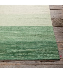 Chandra INDIA IND-5 2 ft. X 3 ft. Rect. Rug - Green, Cream