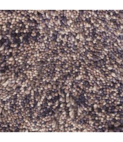 Chandra IZZIE IZZ-45303 7 ft. 9 in. X 10 ft. 6 in. Rect. Rug - Charcoal, Taupe, White