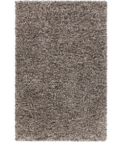 Chandra OLGA OLG-47201 5 ft. X 7 ft. 6 in. Rect. Rug - Beige, Black