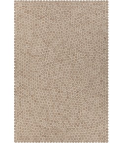 Chandra PATAGONIA PAT-46801 9 ft. X 13 ft. Rect. Rug - White, Brown, Beige