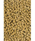 Chandra STRATA STR-1109 7 ft. 9 in. Round Rug