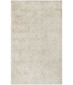 Chandra ZARA ZAR-14508 4 ft. X 6 ft. Rect. Rug
