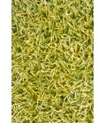 Chandra ZARA ZAR-14511 7 ft. 9 in. Round Rug