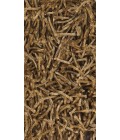 Chandra ZARA ZAR-14531 7 ft. 9 in. Round Rug