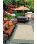 Couristan Recife Checkered Field 6' x 9' Natural/Green Area Rug