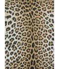 Dolce Area Rug Couristan Dolce Amur Leopard 4' x 6' New Gold Area Rug