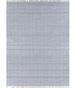 Couristan Inlet Sea Girt Pebble Area Rug 2 ft. X 4 ft. Rectangle