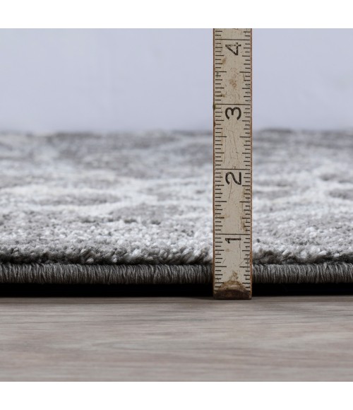 Dalyn Antigua AN6 Grey Area Rug 9 ft. 6 in. X 13 ft. 2 in. Rectangle