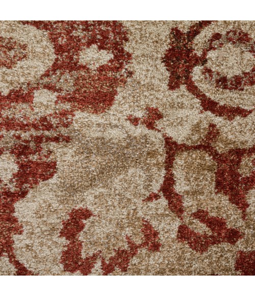 ANTIGUA AREA RUG Dalyn Antigua AN4 Paprika Area Rug 5 ft. 3 in. X 7 ft. 7 in. Rectangle