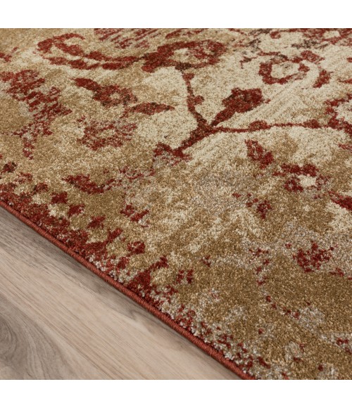ANTIGUA AREA RUG Dalyn Antigua AN4 Paprika Area Rug 5 ft. 3 in. X 7 ft. 7 in. Rectangle