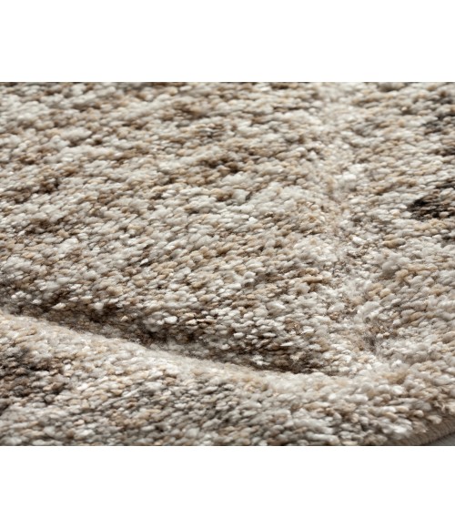 Dalyn Carmona CO8 Driftwood 5'1" x 7'5" Rug