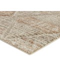 Dalyn Carmona CO8 Parchment 8' x 10' Rug