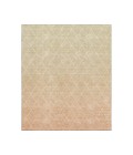 Dalyn Luxury Washable Lazio LZ2 Salmon 2'6" x 3'10" Rug