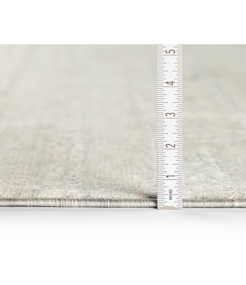 Dalyn Regal RG2 Mist 5' x 7'10" Rug