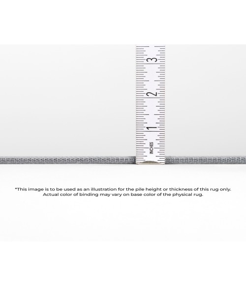 Dalyn Indoor/Outdoor Seabreeze SZ2 Silver Washable 2'6" x 3'10" Rug