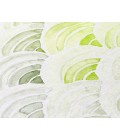 Dalyn Indoor/Outdoor Seabreeze SZ5 Lime-In Washable 2'6" x 3'10" Rug