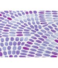 Dalyn Indoor/Outdoor Seabreeze SZ7 Lavender Washable 2'6" x 3'10" Rug