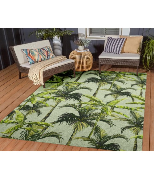 Dalyn Indoor/Outdoor Tropics TC10 Aloe Washable 10' x 14' Rug