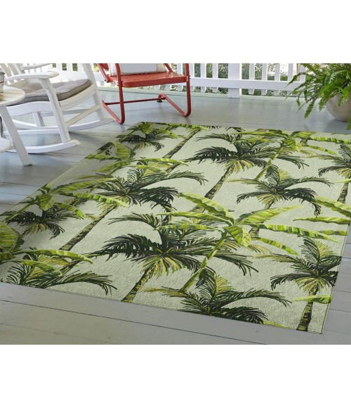 Dalyn Indoor/Outdoor Tropics TC10 Aloe Washable 10' x 14' Rug