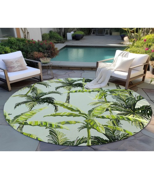 Dalyn Indoor/Outdoor Tropics TC10 Aloe Washable 8' x 8' Round Rug