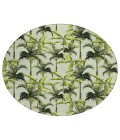 Dalyn Indoor/Outdoor Tropics TC10 Aloe Washable 8' x 8' Round Rug