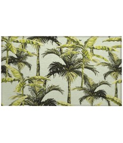 Dalyn Indoor/Outdoor Tropics TC10 Aloe Washable 1'8" x 2'6" Rug
