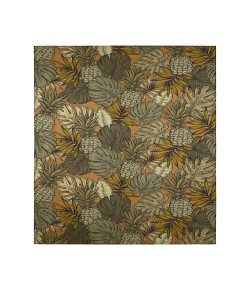 Dalyn Indoor/Outdoor Tropics TC11 Clay Washable 8' x 10' Rug