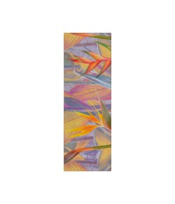 Dalyn Indoor/Outdoor Tropics TC14 Passion Washable 2'3" x 7'6" Runner Rug