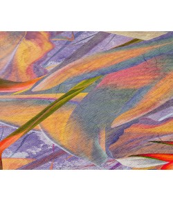 Dalyn Indoor/Outdoor Tropics TC14 Passion Washable 2'6" x 3'10" Rug