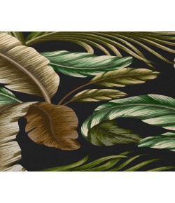 Dalyn Indoor/Outdoor Tropics TC1 Black Washable 5' x 7'6" Rug