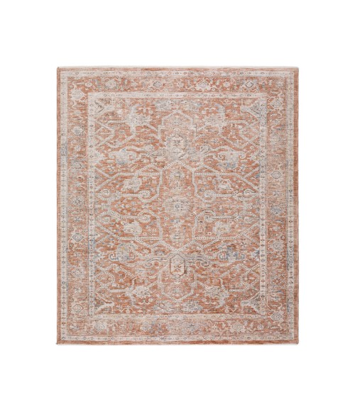 Dalyn Vienna Rug Dalyn Vienna VI1 Spice 3' x 5' Rug